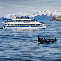Boat Tours