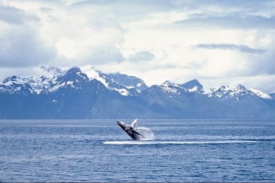 New Year’s Eve in Alaska