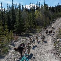 Hiking & Camping