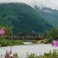 Rail Tours