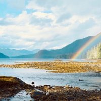 Shore Excursions