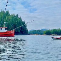 Kayaking & Canoeing