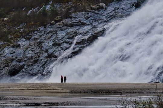 Round-Trip Mendenhall Glacier Shuttle Service