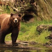 Full-day Tours