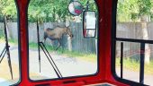 Forget the Guidebook—Just Ride with Vinny