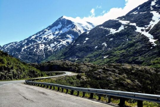 Skagway Shore Excursion: White Pass Summit and Skagway City Tour
