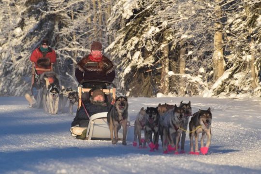 Thanksgiving in Fairbanks