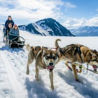 Walking & Biking Tours