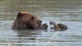 Wildlife Sanctuary Anchorage