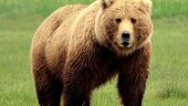 My first visit to Alaska
