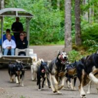 Holiday & Seasonal Tours