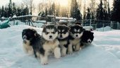 Family fun