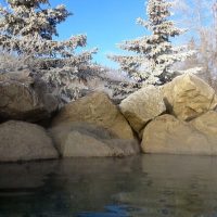 Private & Custom Tours