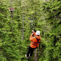 Ziplines