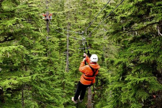 Alpine Zipline Adventure in Juneau, AK