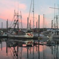 Wine Tasting & Winery Tours