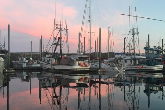 Fish Tales & Ales - 90 minute Historical Walking Tour of Fishing Fleet and Bars