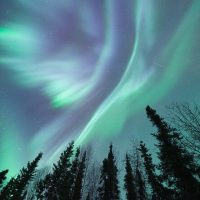 Holiday & Seasonal Tours