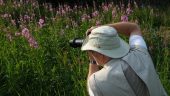 Three hours of amazing scenics and photography with Pat from Rainbow Glacier in Skagway AK