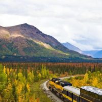 Rail Services