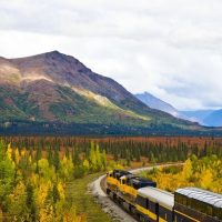 Transfers & Ground Transport