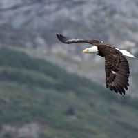 Holiday & Seasonal Tours