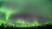 Amazing Aurora!