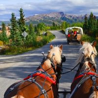 Horseback Riding