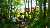 Anchorage Trolley Tour