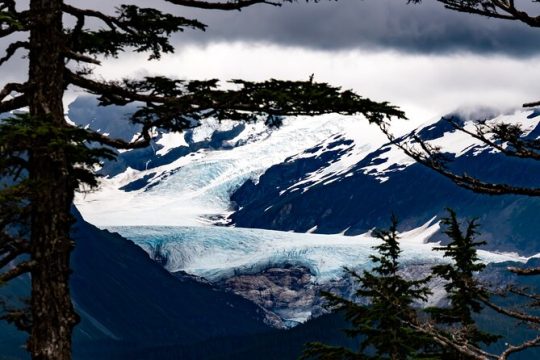 Roundtrip Anchorage to Whittier Wildlife / Wilderness Photo Tour