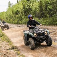 Shore Excursions