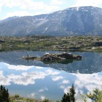 Day Trips & Excursions