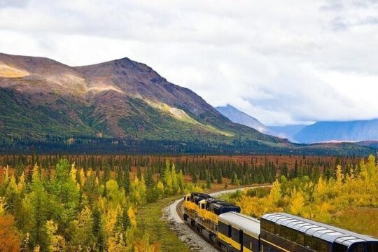Alaska Railroad Fairbanks to Denali One Way
