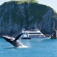 Full-day Tours
