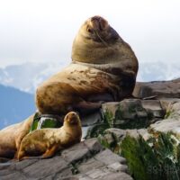 Cruises, Sailing & Water Tours