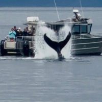 Private & Custom Tours