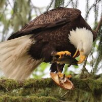 Photography Tours
