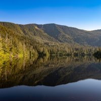 Eco Tours
