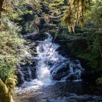 Eco Tours