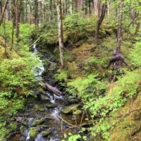 4WD, ATV & Off-Road Tours