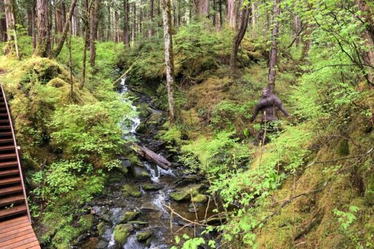 Alaska Bigfoot Adventures