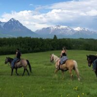 Horseback Riding