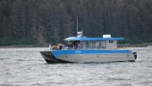 Fantastic, family friendly whale watching tour!!