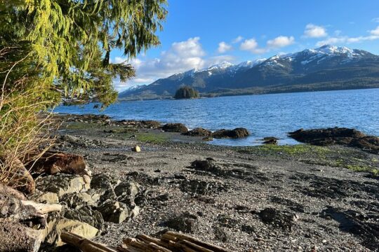 Low Tide Excursion & Beach Bonfire (w/ Totem Park Stop)