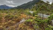 If you like hiking and a...