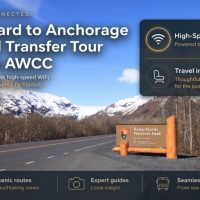 Walking & Biking Tours