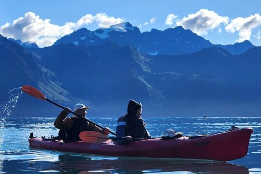 Kayak Paddle on Resurrection Bay