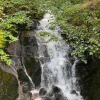 Private & Custom Tours