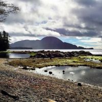 Private & Custom Tours