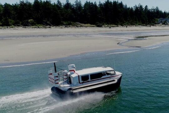 Guided Scenic Hover Craft Tour in Talkeetna, Alaska